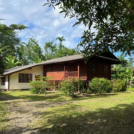 Hostel Brown House Chiangdao Chiang Dao Zewnętrze zdjęcie