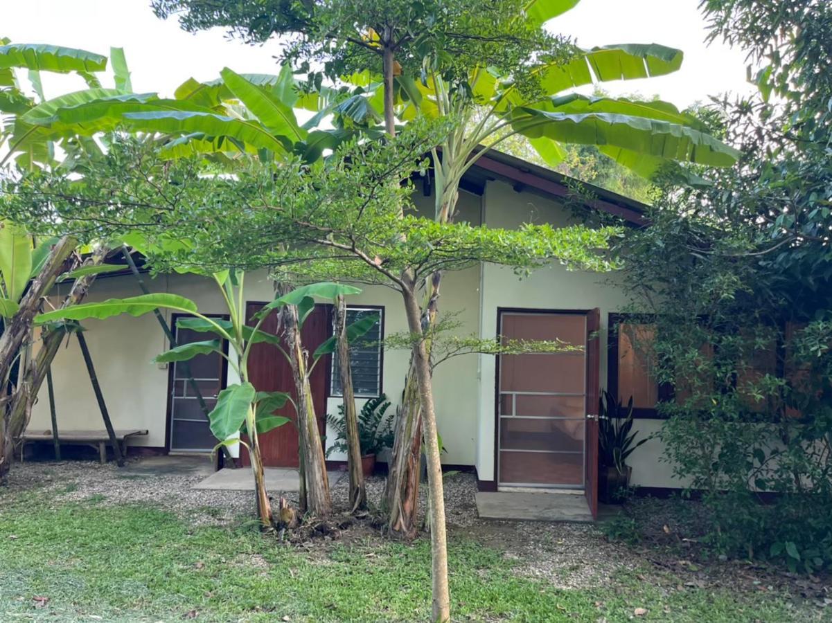 Hostel Brown House Chiangdao Chiang Dao Zewnętrze zdjęcie