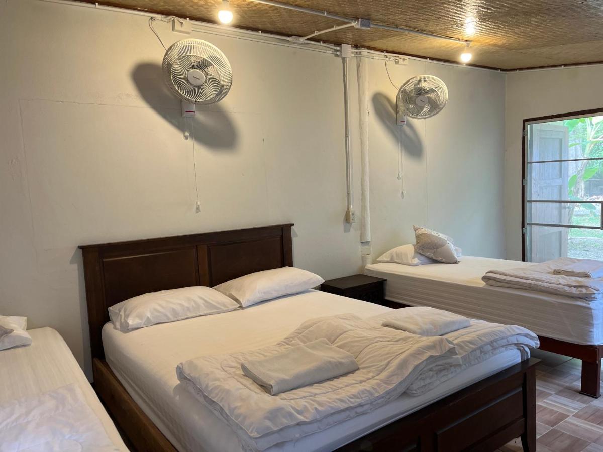 Hostel Brown House Chiangdao Chiang Dao Zewnętrze zdjęcie