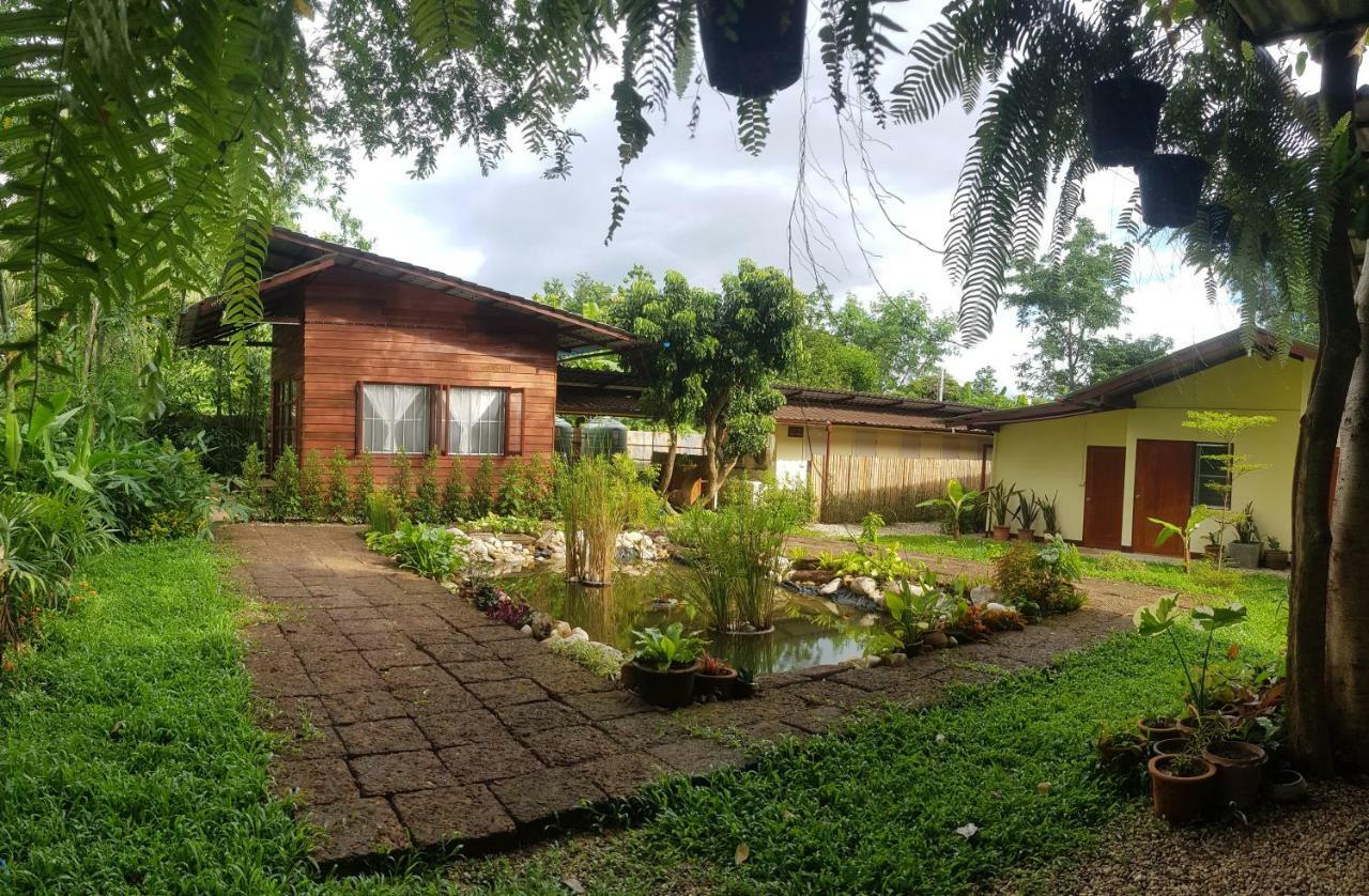 Hostel Brown House Chiangdao Chiang Dao Zewnętrze zdjęcie